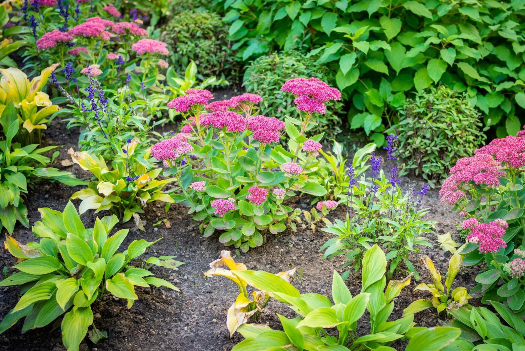 Garden Camping تالين المظهر الخارجي الصورة