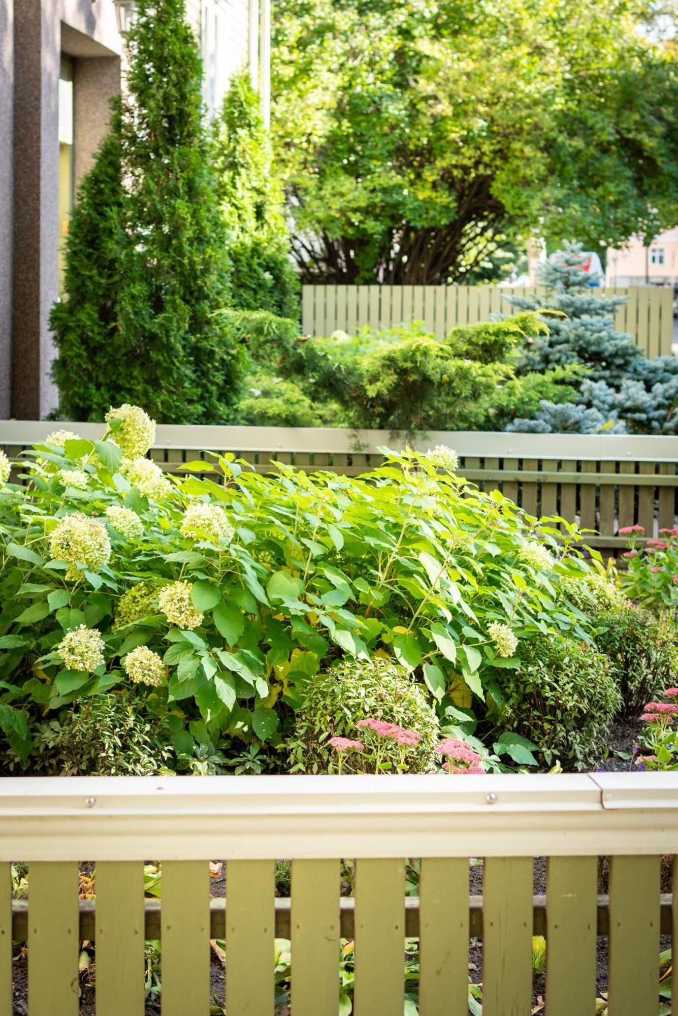 Garden Camping تالين المظهر الخارجي الصورة