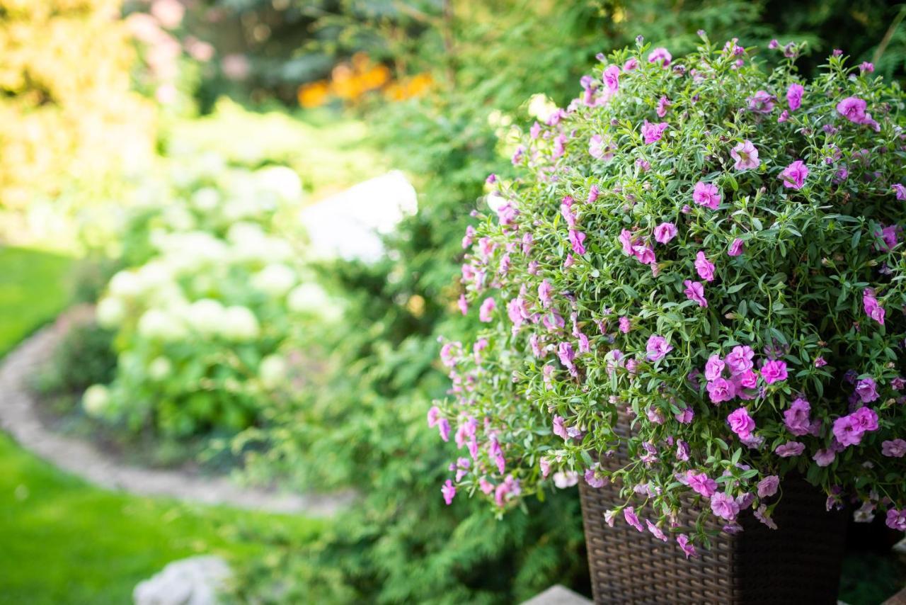 Garden Camping تالين المظهر الخارجي الصورة